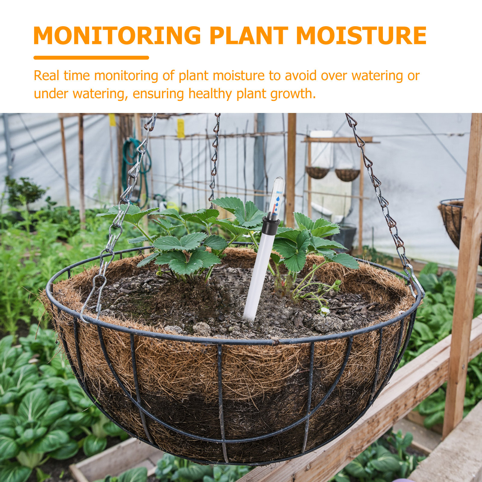 4Pcs Plant Water Level Indicat - Moisture Meter Plant recensie en prijs