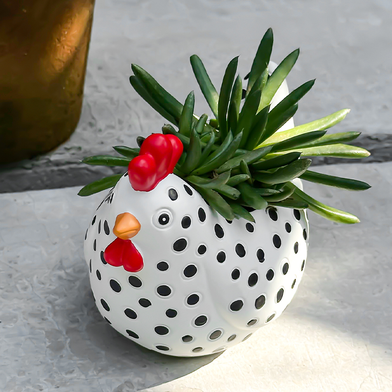 Funny Spotted Chicken Flower P - Orchid Potting Mix recensie en prijs