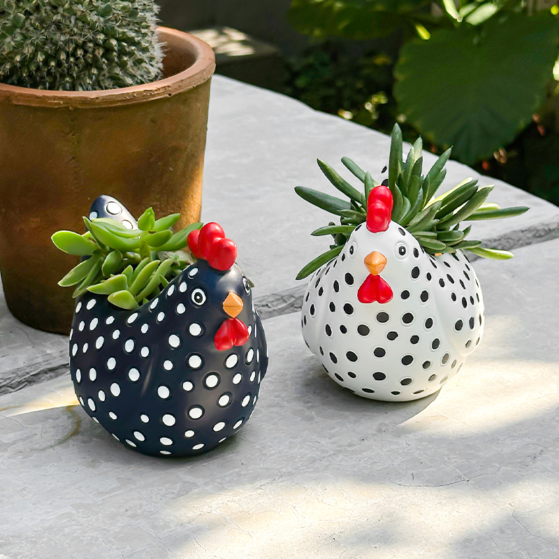 Funny Spotted Chicken Flower P - Orchid Potting Mix recensie en prijs