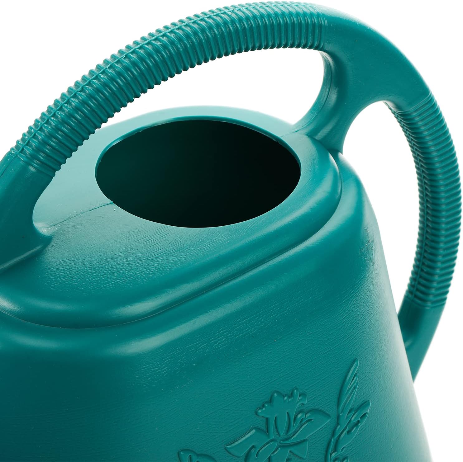 1-Gallon Plastic Watering Can  - Watering Can Long Spout recensie en prijs