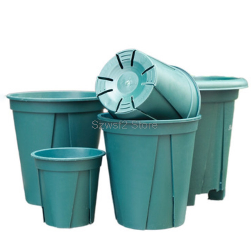 5/10pcs Green Plastic Plant Fl - Gardening Tools Cute recensie en prijs