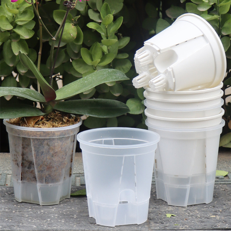 5pcs Transparent Orchid Pot wi - Orchid Potting Mix recensie en prijs
