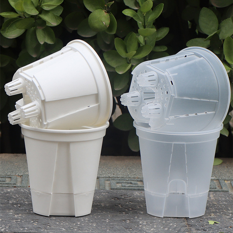 5pcs Transparent Orchid Pot wi - Orchid Potting Mix recensie en prijs