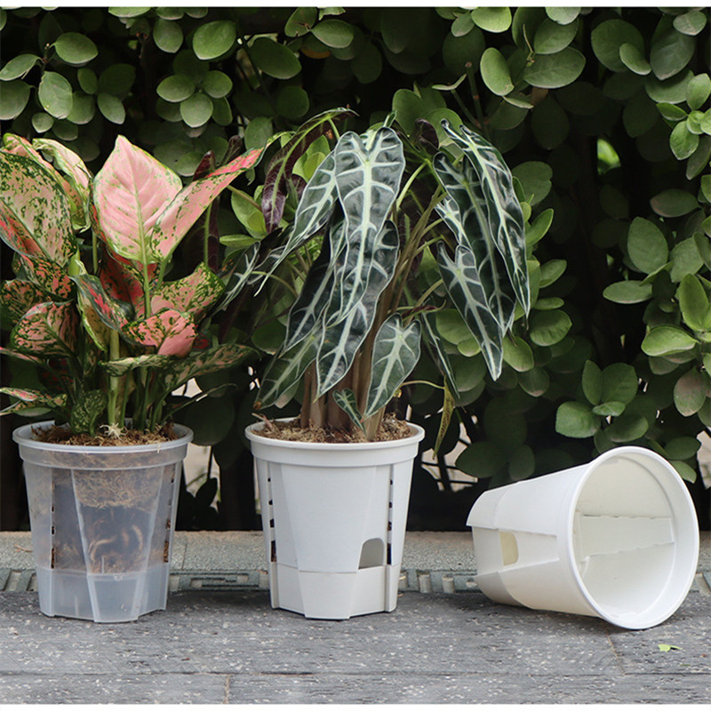 5pcs Transparent Orchid Pot wi - Orchid Potting Mix recensie en prijs