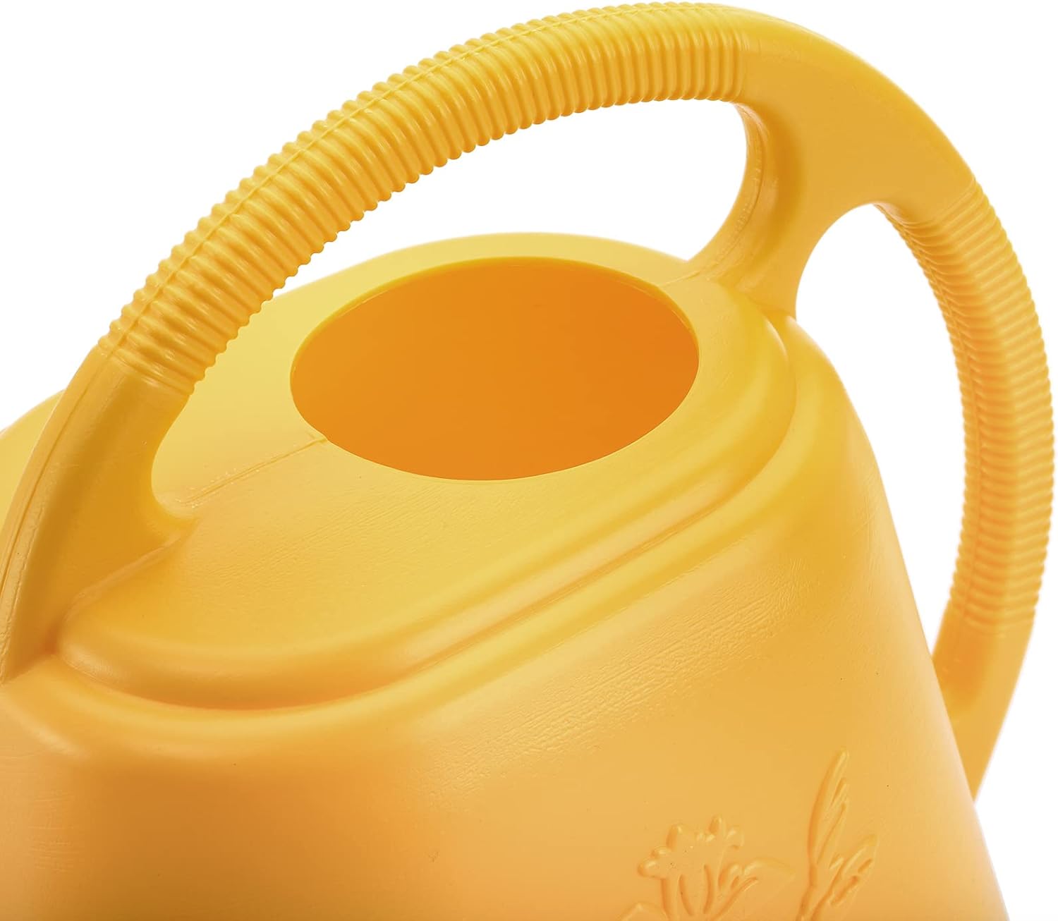 1-Gallon Plastic Watering Can  - Watering Can Long Spout recensie en prijs