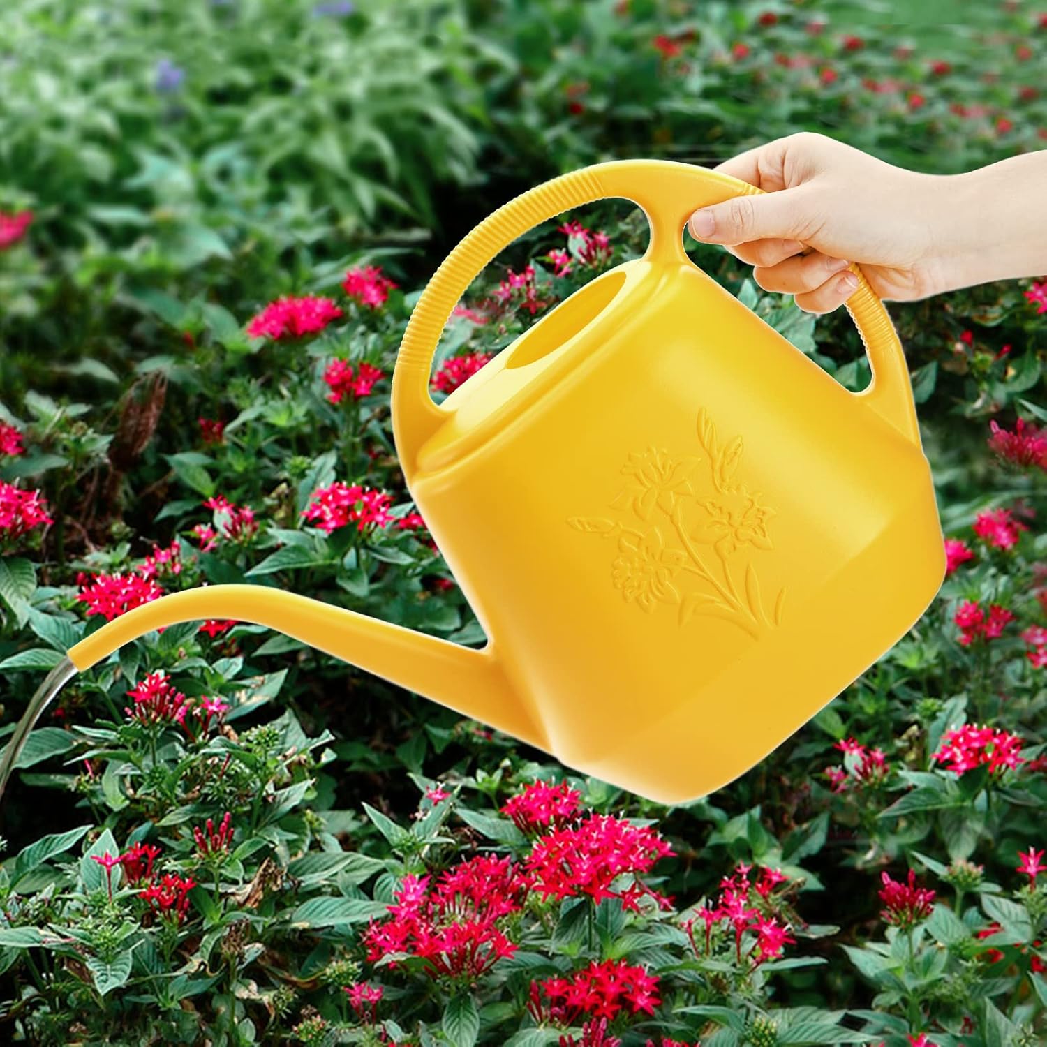 1-Gallon Plastic Watering Can  - Watering Can Long Spout recensie en prijs