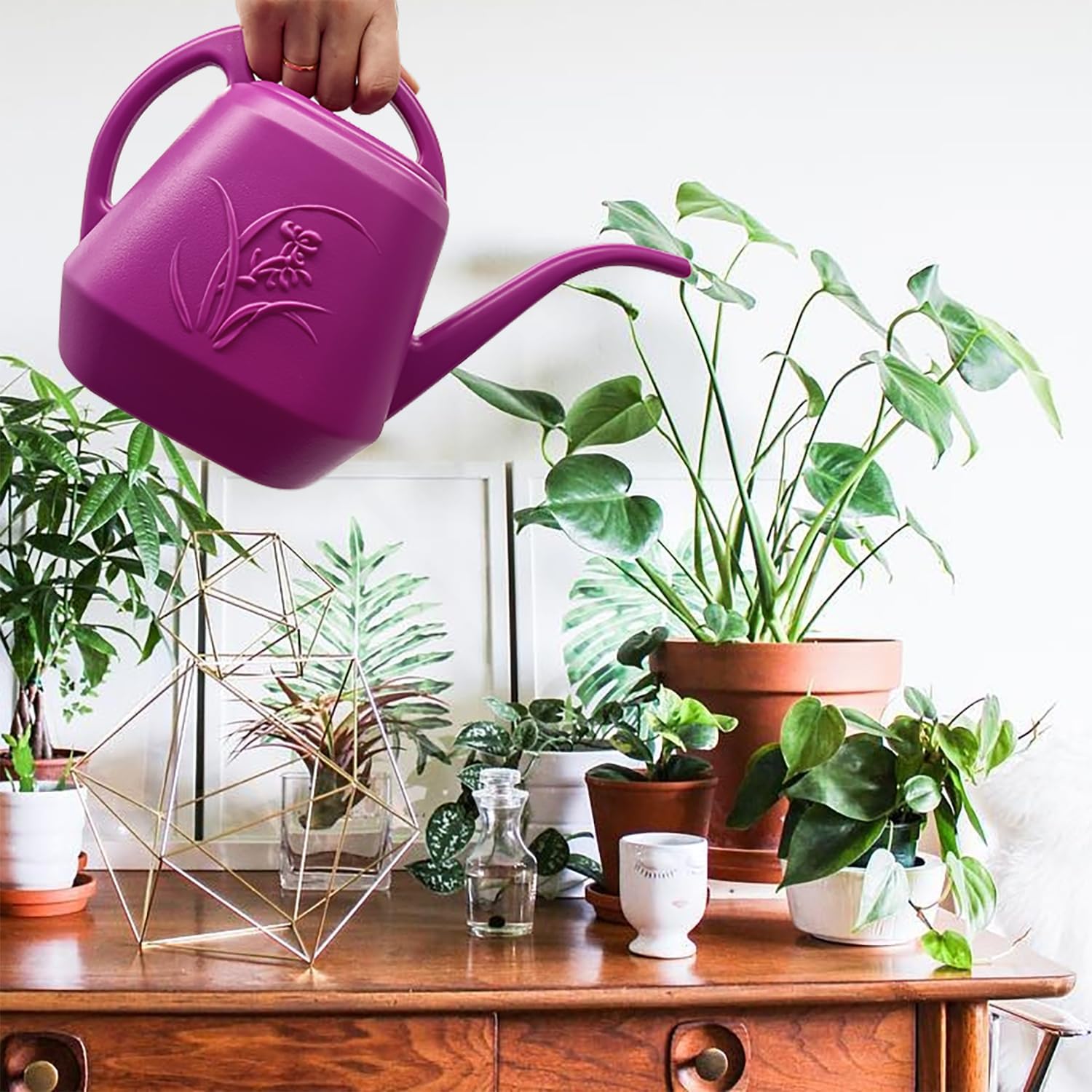 Plant Watering Can 1/2 Gallon  - Watering Can Long Spout recensie en prijs